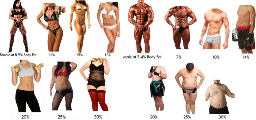 body fat kobiety i mezczyzni